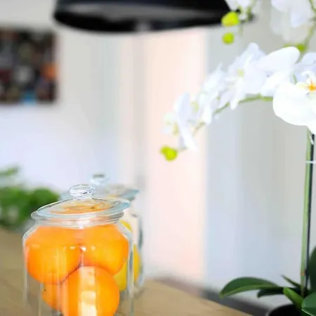 Lägenhet Anna Zadar