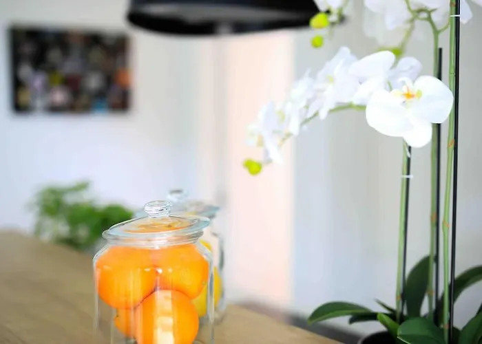 Apartment Anna Zadar